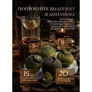 Подарочный набор: Чайник для пуэра+пуэр в мандарине 4шт.